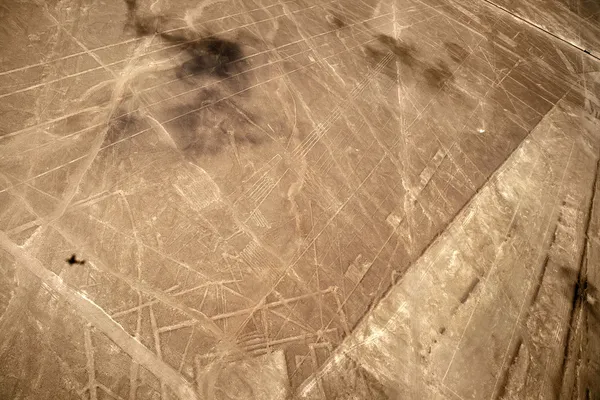 Linie z Nazca, peru - ptaków morskich — Zdjęcie stockowe