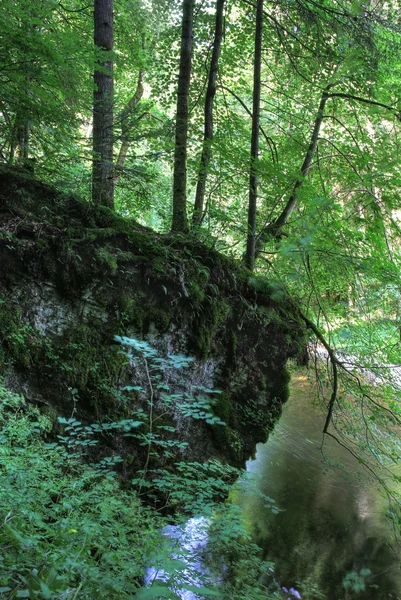 Roccia muschiosa appesa sopra lo scricchiolio nella foresta — Foto Stock