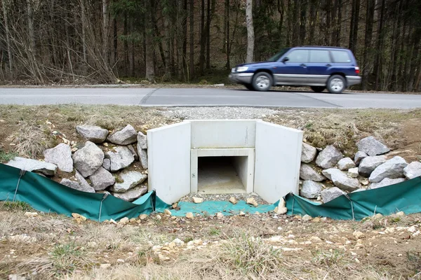 Projekt zum Laichschutz von Fröschen — Stockfoto