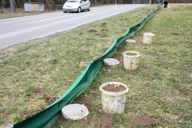 Kurbağa koruma yumurtlama göç projesi