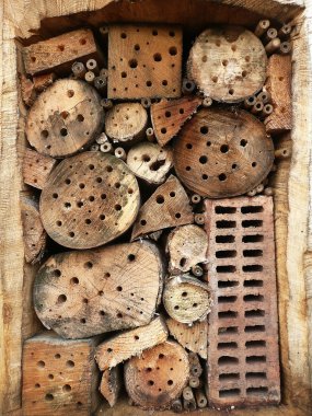 Details of a Wild bee hotel clipart