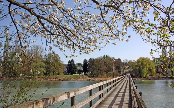 Wooden bridge leading to Park in spring time — Stock Photo, Image