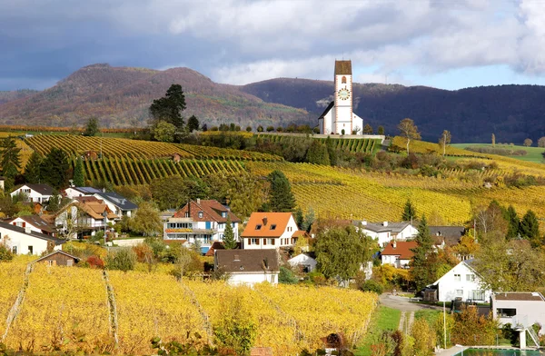 Região vitivinícola, Klettgau, Schaffhausen, Suíça — Fotografia de Stock