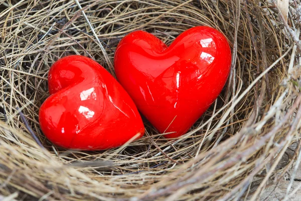 Dos corazones rojos en un nido de pájaros — Foto de Stock