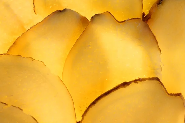 Növényi szelet hátország sorozat - gyömbér makró — Stock Fotó