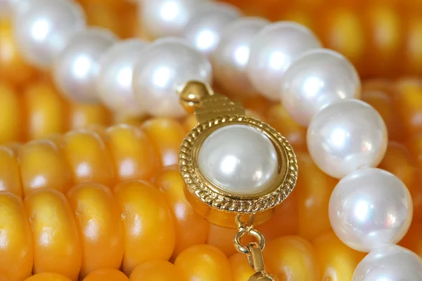 Pearl Necklace On Maize Corn — Stock Photo, Image