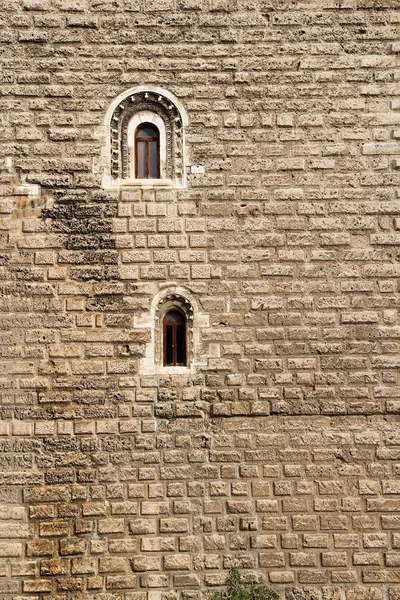 修道院の大きなファサードに孤独な windows — ストック写真
