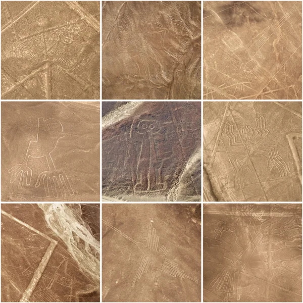 Nazca-lijnen, peru - unesco erfgoed — Stockfoto