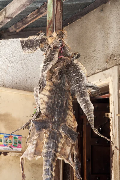 Crocodile skins as healing materials — Stock Photo, Image