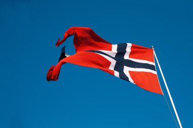 Norveç bayraklı