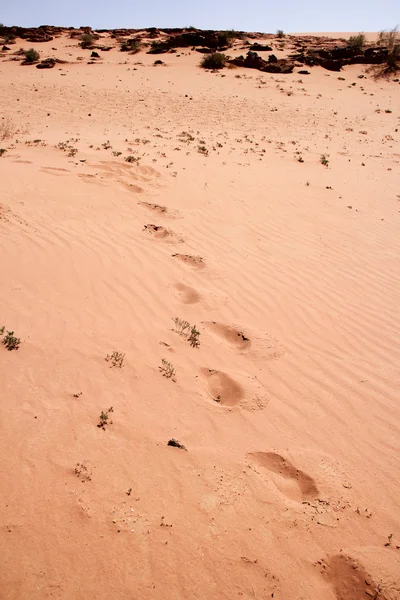 砂漠、ワディラム、ヨルダンでトレッカー フット プリント — ストック写真