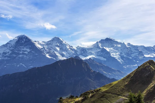 Pohled Schynige Platte Slavném Pohoří Eiger Moench Jungfrau Švýcarských Alpách — Stock fotografie