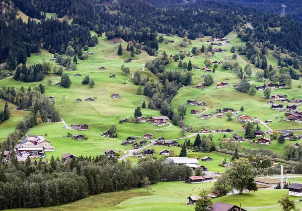 スイスアルプスの緑の谷に伝統的なシャレーと美しいGrindelwald村 — ストック写真