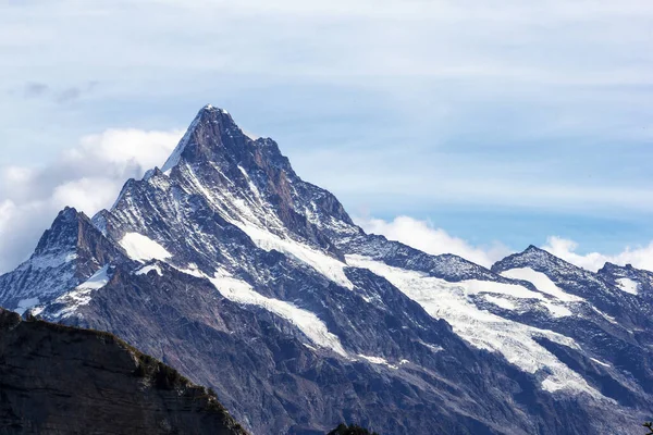 Blick Auf Das Schreckhorn Den Berner Alpen — Stockfoto