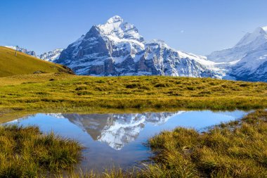 Alplerin zirvesi Wetterhorn ve onun İsviçre 'deki Bern Oberland, Grindelwald' daki ilk plato üzerindeki yansıması.
