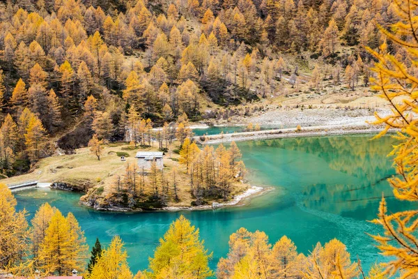 Lago Palu Por Debajo Del Glaciar Piz Palu Los Alpes —  Fotos de Stock