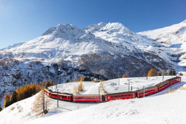 Alp Grum, İsviçre - Kasım 05. 2021: Rhaetian Demiryolu 'ndan gelen kırmızı tren Alp Grum' daki 180 virajlı tren raylarından geçiyor. Piz Palu zirvesi arka planda..