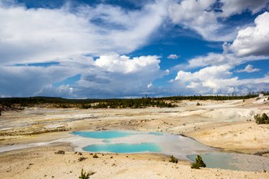 Yellowstone Ulusal Parkı 'ndaki mavi havuzlu Norris Geyser Havzası, ABD