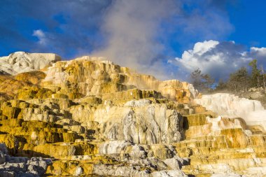 ABD 'nin Yellowstone Ulusal Parkı' ndaki travertin tepesinde teras şeklinde kayaları ve sülfür rengi olan Mamut Kaplıcaları.