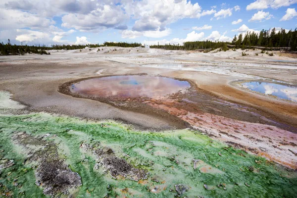 Norris Geyser Basin Green Mineral Stream Yellowstone National Park Usa — стокове фото