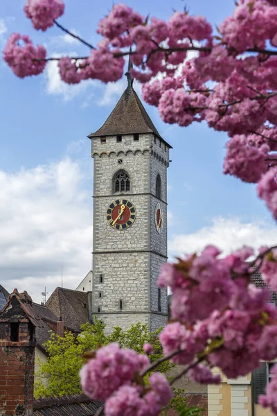 Klokkentoren Van Johann Kerk Met Bloeiende Kersenbloesem Sakura Voorgrond — Stockfoto