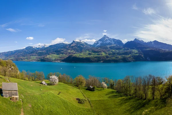 Panorama Estranho Lago Walensee Pico Dos Alpes Muertschenstock Fundo — Fotografia de Stock