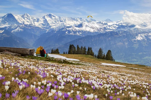 Swiss Alps Landscape Paraíso Para Atividades Livre Para Caminhantes Paraquedas — Fotografia de Stock