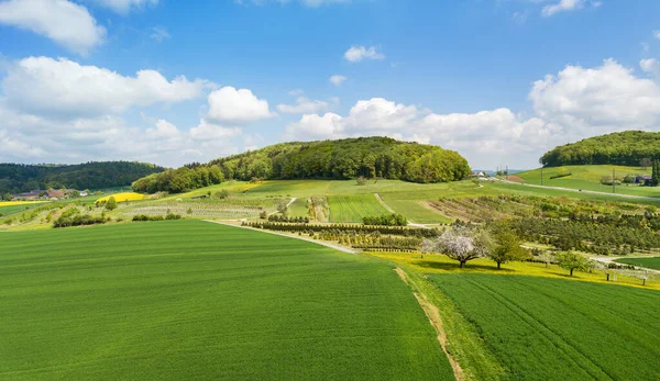 Aerial View Farming Land Crop Field Pasture Orchard Farming Principle — Stock Photo, Image