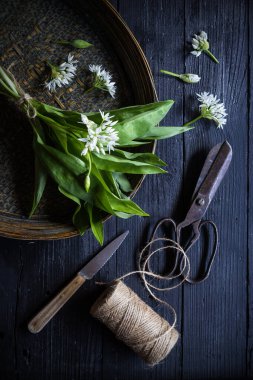 Ayı sarımsak yaprakları bambu tepsisi içinde tahta tahtada bıçak, makas - karanlık ve kasvetli bir ton
