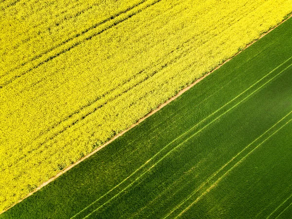 Aerial Image Agricultural Field Different Crop Growth Polyculture Permaculture Farming — Stockfoto