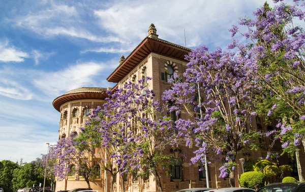 Cordoba Egyetem Épületének Külseje Gyönyörű Lila Jacaranda Fákkal Adanlusia Spanyolország — Stock Fotó