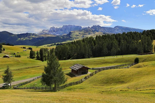 Alm Seiser Vagy Alpe Siusi Nagy Magasságú Fennsík Rét Háttérben — Stock Fotó