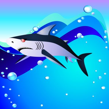 köpekbalığı ve deniz