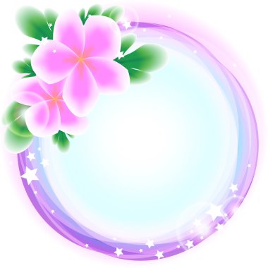 arka plan ile frangipani çiçek