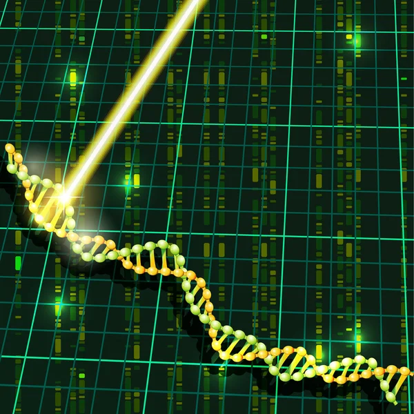 Ricerca sul DNA — Vettoriale Stock