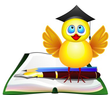 Akıllı tavuk ve kitap