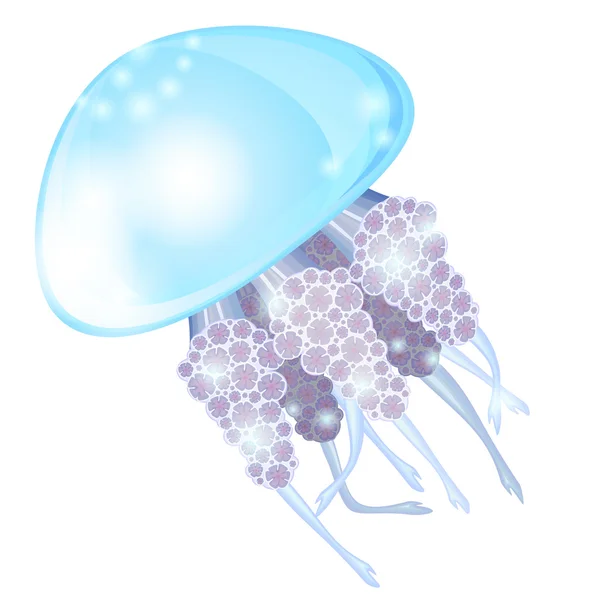 Medusas. — Vector de stock