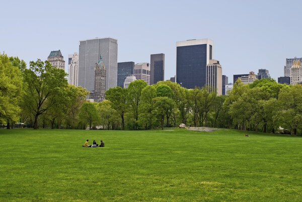 A Spring view of the lawn on Sheep Meadow in Central Park.