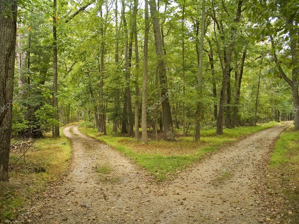 Two Paths Stock Photo by ©andykazie 12257535 Two Paths Stock Photo by ©andykazie 12257535
