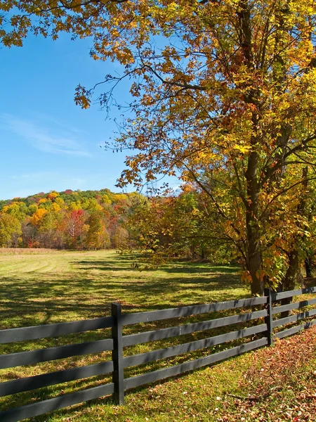 Bellezza autunnale — Foto Stock