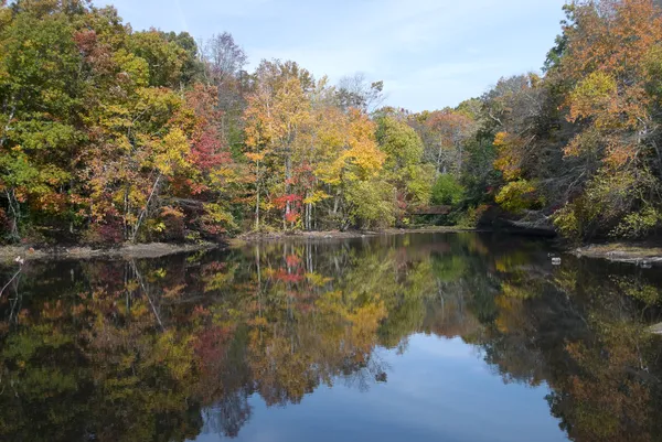 Allaire hösten reflektioner — Stockfoto