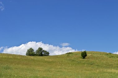 Mavi gökyüzü hillside