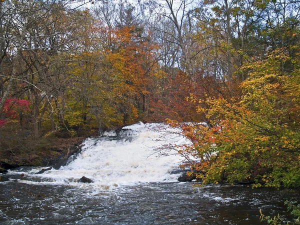 Volledige val stream — Stockfoto