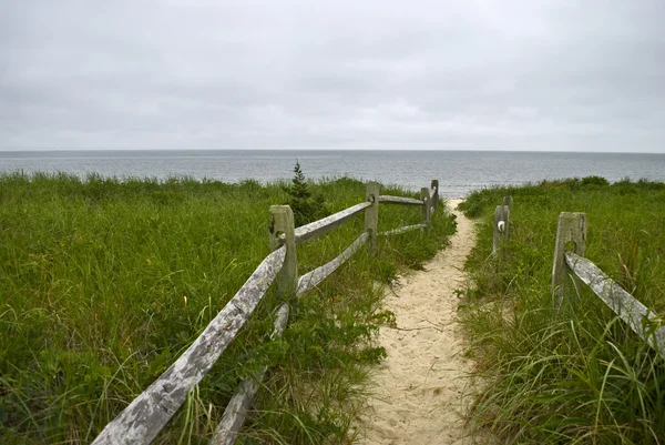 Sea Trail — Stock Photo, Image