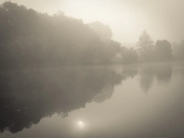 Misty luz da manhã — Fotografia de Stock