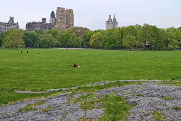 Sheep Meadow — Stock Photo, Image