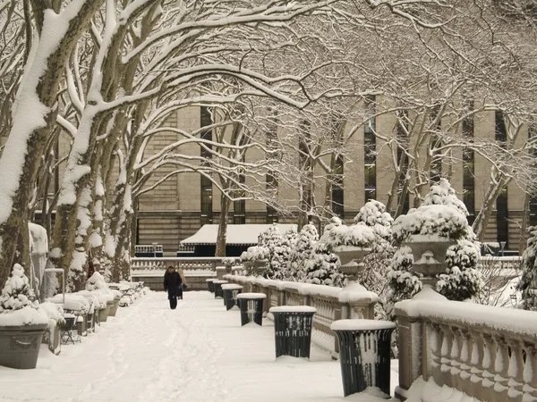 Bryant Park Inverno — Fotografia de Stock