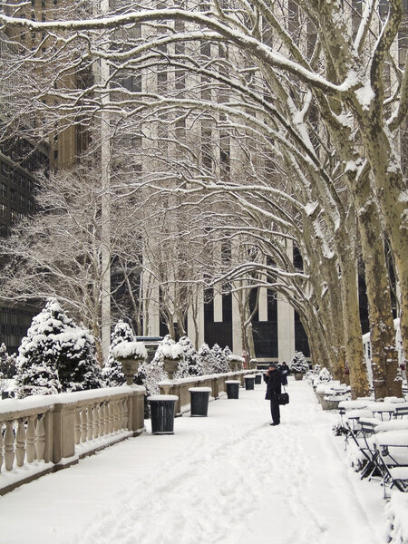 Bryant Park in Manhattan coated in freshly fallen snow.