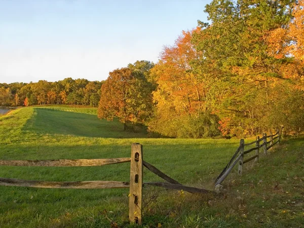 Autumn Fence — Stock Photo, Image