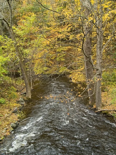 Vista flusso autunno — Foto Stock